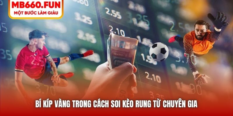 Bí kíp vàng trong cách soi kèo rung từ chuyên gia 