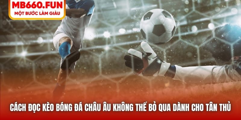 Cách đọc kèo bóng đá châu Âu không thể bỏ qua dành cho tân thủ